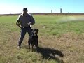 Entrenamiento basico de grupo tactico penitenciario