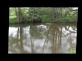 Trout on the dry fly, the Loch Ordy!