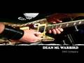 DEAN Warbird