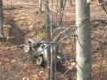 oldham county offroad 2.wmv