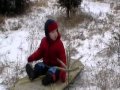 Christmas Tree Chop 2010