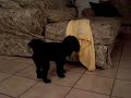 Shadow Round 2 Shadow Round 2