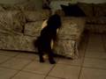 Shadow Round 2