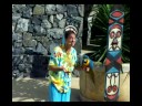 Parrot Port Aventura