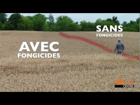 les rencontres du management de projet 2012