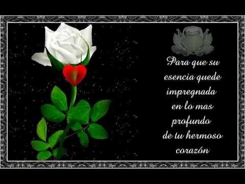 te regalo una rosa la encontré en el camino letra