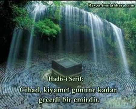 Sevab