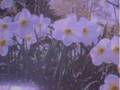 Nella Brezza del vento (poesia italiana in musica)