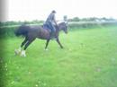 Pea & Holly xc Pea & Holly xc