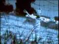 X Japan - Dahlia PV (Spanish Subittles)