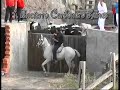 ENCIERROS CARBONERO . LUNES 08