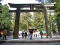 Chikichiki en Nikko