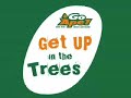 Go Ape! Aberfoyle