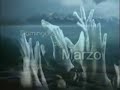 CBN - Amistad cristiana