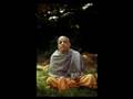 Prabhupada's Wisdom Series: Vedas Free From Error