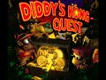 Donkey Kong Country 2 - Squawk\