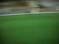 STL Tigers Soccer Roy