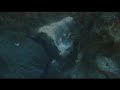 dive travel cozumel part 3