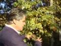 Nantucket Soundkeepers Soundings II  Landscaping