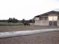 reitsport