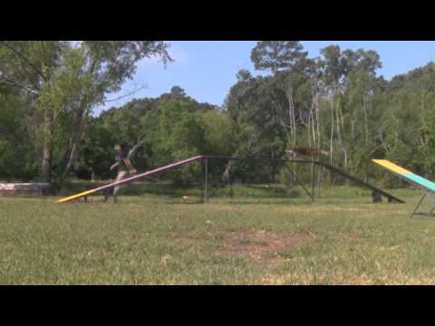 how to cure high rdw