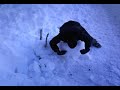 destroy snowman destroy snowman