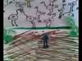 videos de Ostriches v2