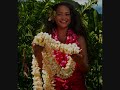 Hawaiian song Ulili EHone ana ko leo e 'ulili ē O kahi manu noho 'ae kai Kia'i ma ka lae a'o kekaha 'O ia kai ua lana mālie 'Ulili ē  'Ulili ho'i  'Ulili holoholo kahakai ē O ia kai ua lana mālieHone ana ko leo kōlea ē Pehea 'o Kahiki? Maika'i nō 'O ia 'āina 'uluwehiwehi I hui pū 'ia me ke onaona 'Ulili ē  'Ulili ho'i  'Ulili holoholo kahakai ē O ia kai ua lana mālie