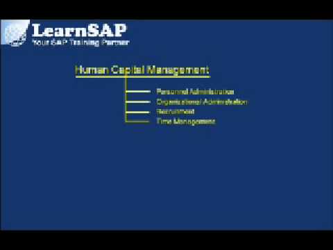 An overview of the SAP Human Resources (Part 1)
