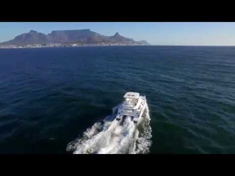 Leopard 43-POWERCAT video