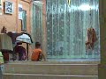 Nami solat