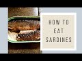 Kath Eats Sardines