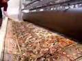 The Best Rug Cleaning Center In Houston