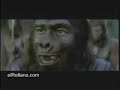 we-will-rock-you-elRellano we-will-rock-you-elRellano