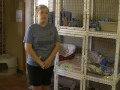 Click here to watch this video Dogs abandoned in foreclosed home