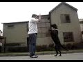 Obediencia libre con Melissa - MASTERCAN