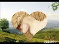 KARAKOCAN-ZELXIDER ( SARIBASAK) K�Y�