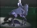 Dancing Friesian Magnificent