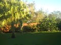 A Typical December Day in Florida