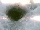 Reeling in a koakane while ice fishing  at Ririe Resivoire