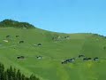 Davut Gülo?lu - Ah Ulan Ah LahanaFM Davut Gülo?lu - Ah Ulan Ah LahanaFM