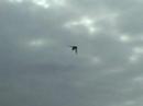 Helicopter