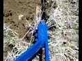 farmtrac ft 70 dt 4 l� 14 numara pulluk rolantide  s�rme