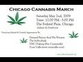 GLOBAL MARIJUANA MARCH CHICAGO 2009 :: The 2009 Million Marijuana March in Chicago on May 2, 2009 View Video