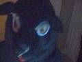 Re: Why aren't there more Bears on YouTube?