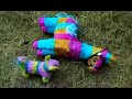 Pinata Hunter