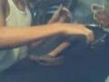 pro fingerboarder