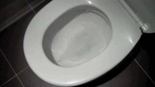 Do toilets spin backwards in Australia?