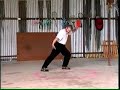 Bagua Advanced Methods Volume 4 MTG114 Bagua Advanced Methods Volume 4 MTG114