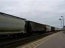 Cobourg 19.06.05 7240